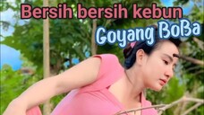 Filem goyang BoBa