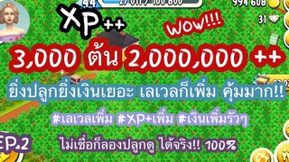 HAY DAY • ปลูกโกโก้ทั้งฟาร์ม ขายดี คนซื้อเร็ว 2000 ต้น 1000000++ หาเงินง่ายๆเน้นรวย และ XP+ EP2