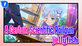 A Certain Scientific Railgun|A Certain Magical Index Season 1——jellyfish_1