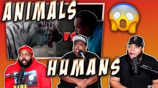 ANIMALS VS HUMANS COMPILATION!!!  (REACTION)