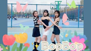 在校园篮球场前跳BopBop是什么体验