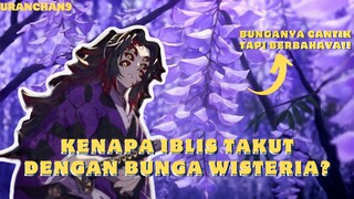 Alasan Kenapa Bunga Wisteria Menjadi Bunga Yang Menakutkan Bagi Para Iblis? 🤔