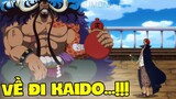 Shanks tiết lộ với Kaido rằng Luffy là Joy Boy ở Marineford!? - One Piece