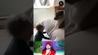Funny Animal Videos 2023 😅 - Funniest Dogs and Cats Videos 😁