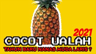 NANAS MUDA LARIS DI TAHUN 2021 ? | CHOCHOT UALAH 12