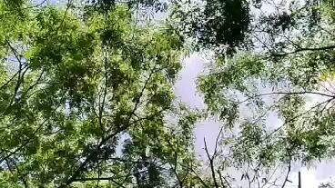 Ganda ng lugar nato
