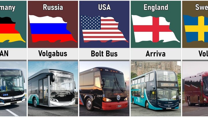 Bus From Different Countries