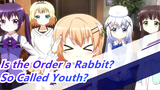 [Is the Order a Rabbit?] Maybe It's… So Called Youth?