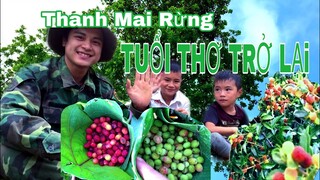 Hương vị rừng xanh mang tuổi thơ trở lại | thanh mai rừng | TRIỆU VLOG