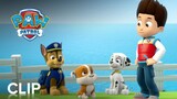 PAW PATROL: RUBBLE ON THE DOUBLE |  "Stuck in a Tree" Clip | Paramount Movies