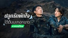ตอนที่ 24