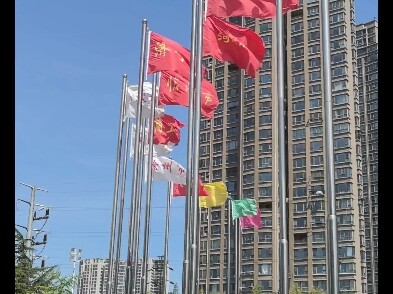 Came to Xuzhou and met a group of Shark Bi 2D
