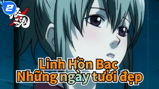 [Linh Hồn Bạc]Những ngày tươi đẹp_2