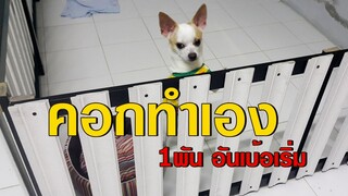 ทำคอกน้องหมา งบ1พันนิดๆ l DIY Pet Kennel  l JOY DIY