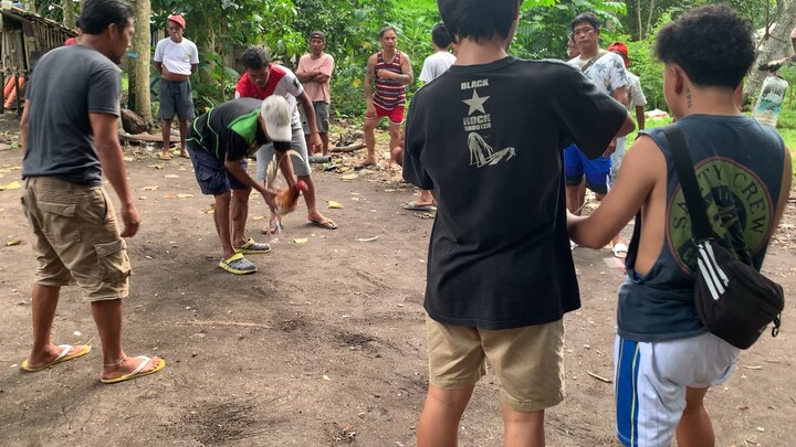 (1)abuhon vs banugon