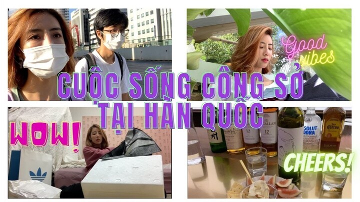 vickytv / DAILY VLOG / CUỘC SỐNG NHÂN VIÊN CÔNG SỞ HÀN QUỐC