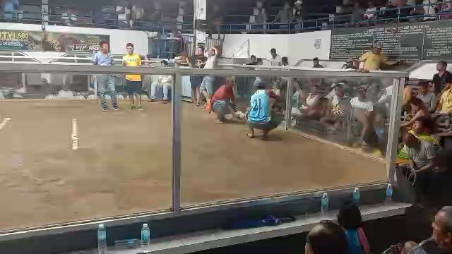 MCA.jan 18/25 2nd elems 6 combo sinulog.pobre Manok .loose