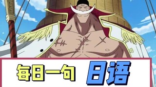 [Japanese Daily Quotes] How to say "Be my son..." in Japanese? Learn classic lines from One Piece | 