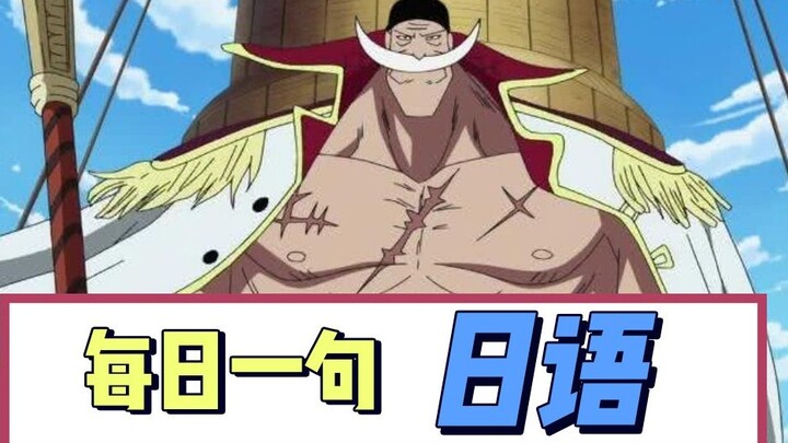 [Japanese Daily Quotes] How to say "Be my son..." in Japanese? Learn classic lines from One Piece | 