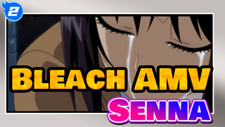 [Bleach AMV / Shihouin] Untuk Mengingat Senna_2