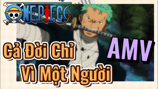 [Đảo Hải Tặc] AMV | Cả Đời Chỉ Vì Một Người