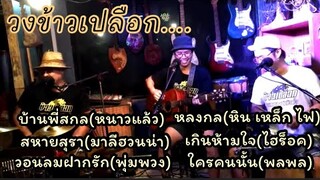 โฟล์คซองข้าวเปลือก ฟังเพลงจิบเบียร์