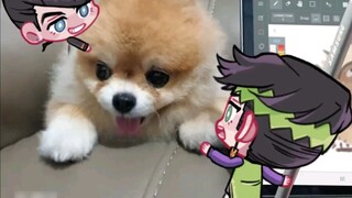 Drawing dog with Rohan✒!【Authorized reprint by MiuA】