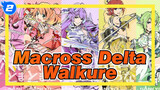 [The Super Dimension Fortress Macross Delta/MAD] Walkure Never Stop_2