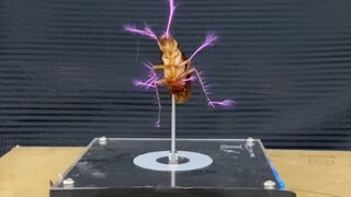 electronic cockroach