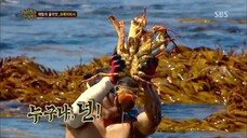 Law of the Jungle in New Zealand | Chattam Islands [5] SUB INDO