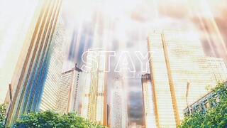 STAY