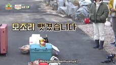 [ INDO SUB ] Hospital Playlist Camping Ep 05