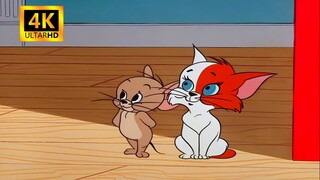 ความซับซ้อนจอมปลอมที่แข่งขันกันเพื่อชิงความโปรดปราน - Tom and Jerry ในภาษาเสฉวน P108 [การบูรณะ 4K]