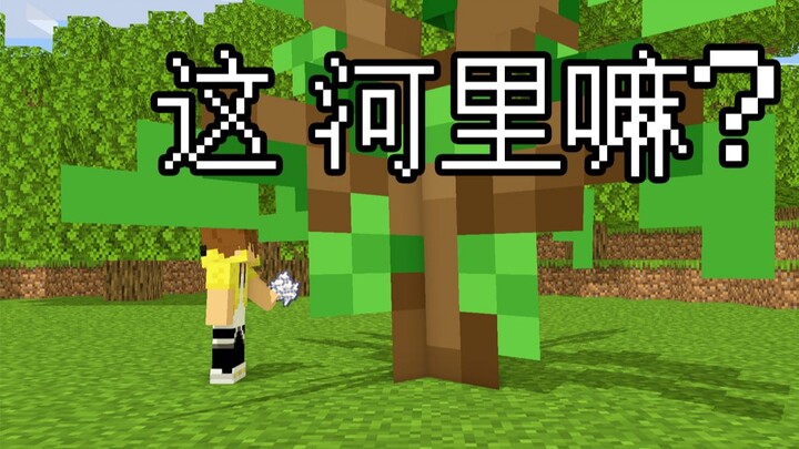 Minecraft这合理嘛？