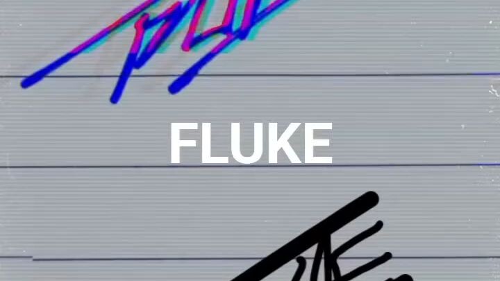fluke