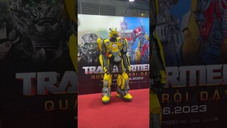 Hoa hậu Tiểu Vy và Bumblebee siêu cute tại ra mắt phim Transformers 2023