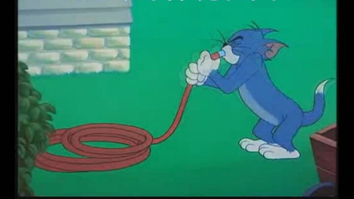 【Tom and Jerry】สวนเซนของทอม