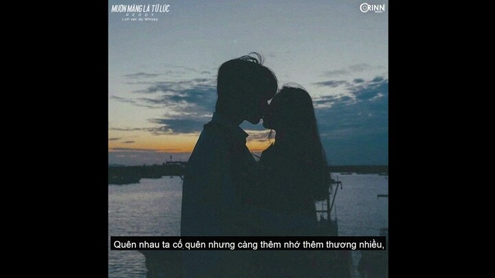 Muộn màng là từ lúc (lofi ver.) - Reddy x Whisky | MV Lyrics