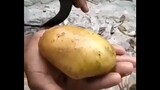 原来切土豆如此简单