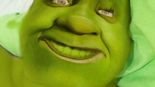 what the Shrek 🤣🤣😂😂