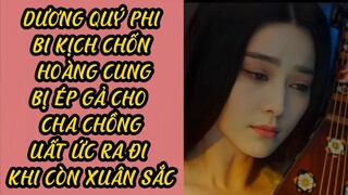 Dương Quý Phi: Bi Kịch Chốn Hoàng Cung - Bị ép gả cho cha chồng, uất ức ra đi khi vẫn còn tuổi xuân