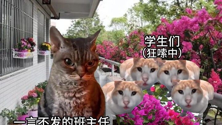 【猫meme】带领全班同学嗦了全校的花被班主任正义制裁的故事