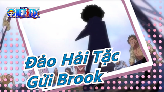 [Đảo Hải Tặc / Buồn / Brook] Gửi Brook, người thanh lịch nhất thế giới