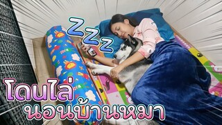 นอนบ้านหมา 1 คืน !! เออเรอร์..ตดใส่ จะรอดมั๊ยคืนนี้ - DING DONG DAD