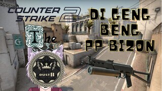 [Counter Strike 2] DI GENGBENG PP BIZON