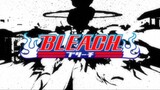 Bleach (Eng Dub) Episode 288