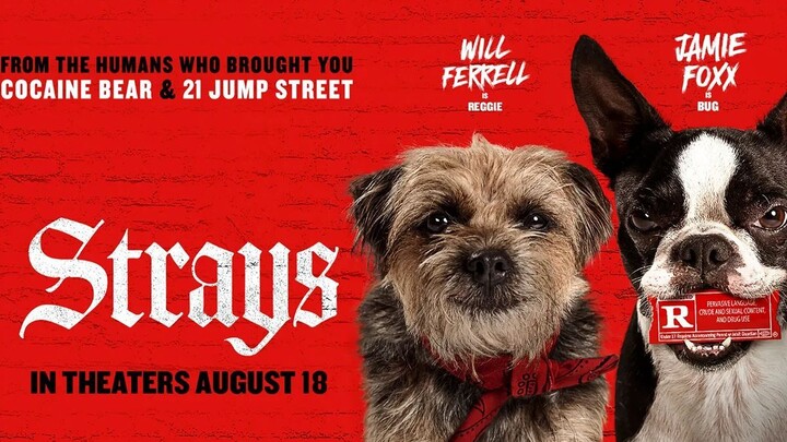 Watch Full Strays 2023 Adventure / Animation / Comedy