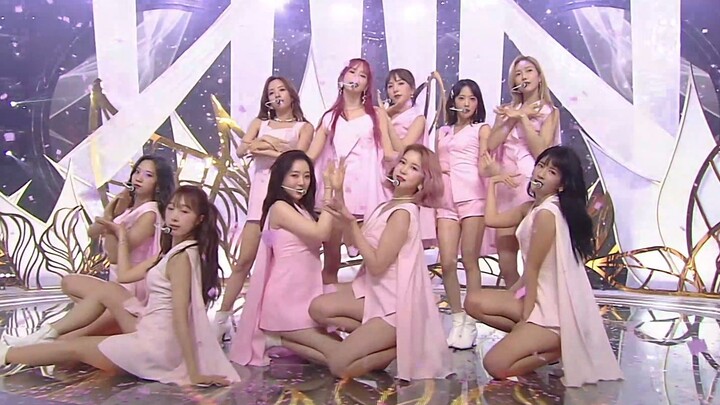 [LIVE]Peri merah muda! Cosmic Girls - BUTTERFLY SBS Inkigayo 200614