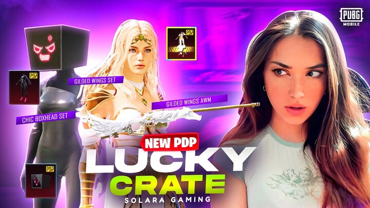 NEW PDP LUCKY CRATE || CHIC BOXHEAD + GILDED WING SET || PUBG MOBILE