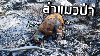 ล่าแมวป่ายูเรเซียโครตยาก! the Hunter  Call of the Wild #3